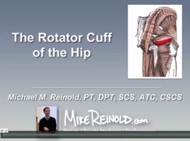 Hip Rotator Cuff - Mike Reinold Inner Circle